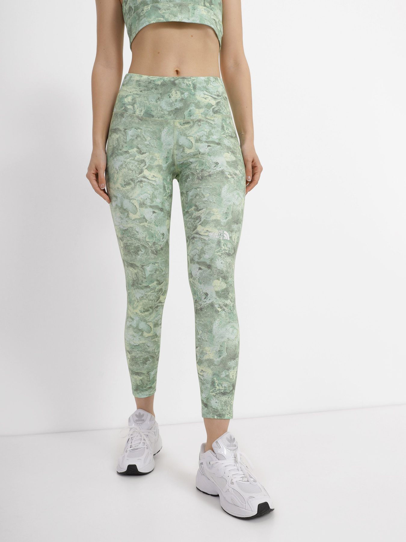 Леггинсы спортивные The North Face Flex модель NF0A7ZB8IO91 Фото