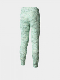 Леггинсы спортивные The North Face Flex модель NF0A7ZB8IO91 Фото