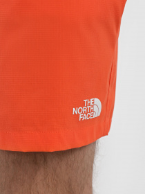 Шорты спортивные The North Face Class V Ripstop модель NF0A81X1LV31 Фото