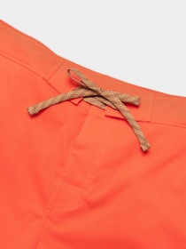 Спортивні шорти The North Face Class V Ripstop модель NF0A81X1LV31 Фото