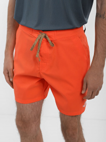 Шорты спортивные The North Face Class V Ripstop модель NF0A81X1LV31 Фото