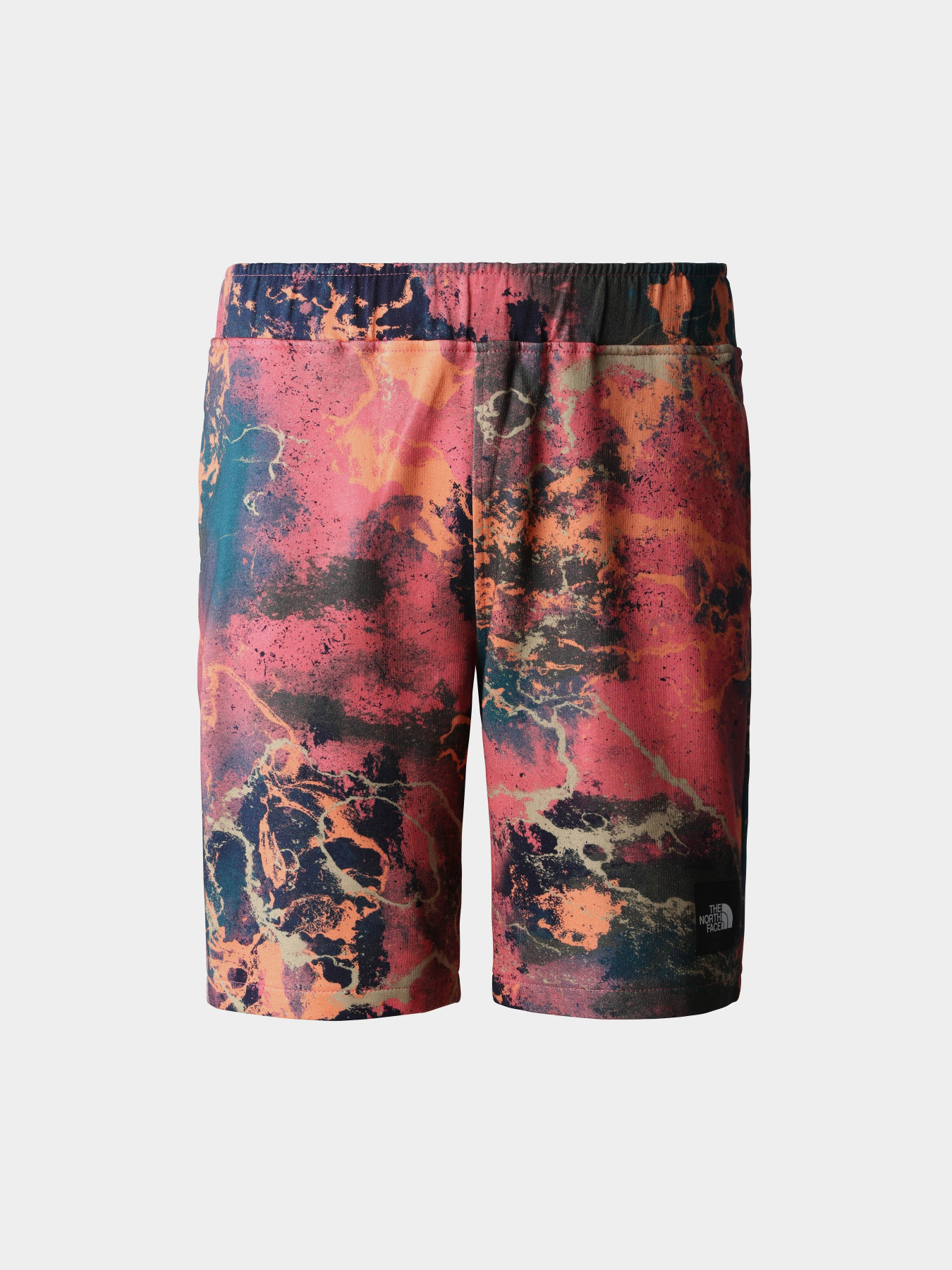 Спортивні шорти The North Face модель NF0A8237IOC1 Фото