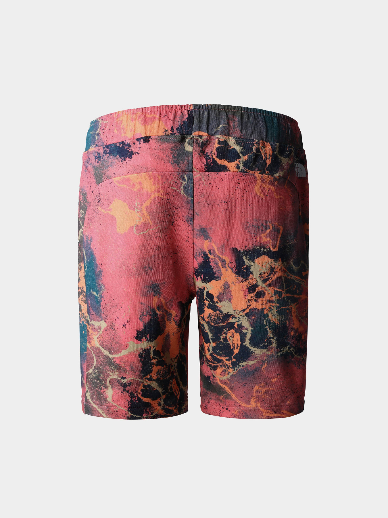 Спортивні шорти The North Face модель NF0A8237IOC1 Фото