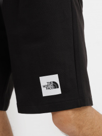 Шорты спортивные The North Face Summer Logo модель NF0A8237JK31 Фото