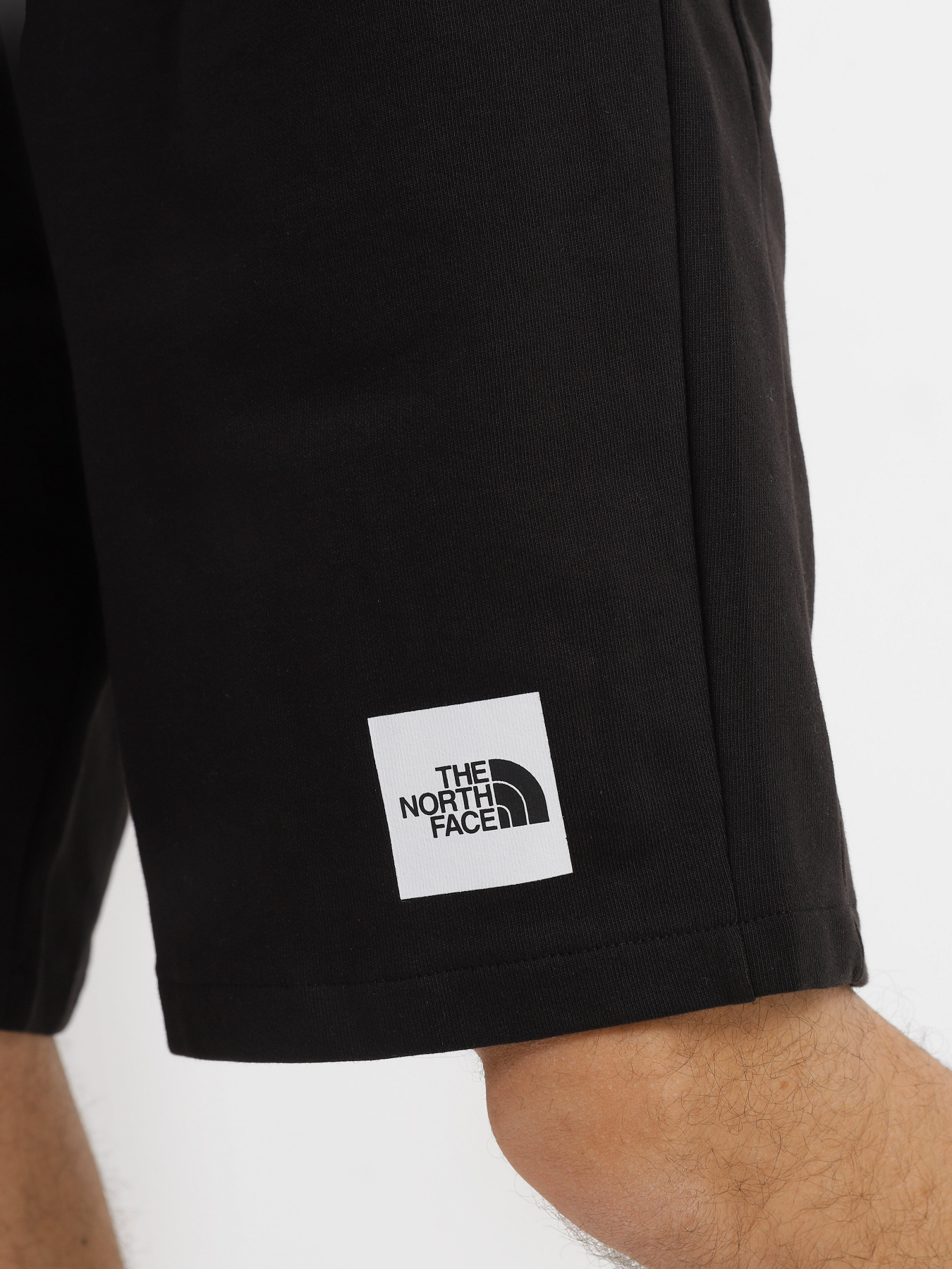 Шорты спортивные The North Face Summer Logo модель NF0A8237JK31 Фото