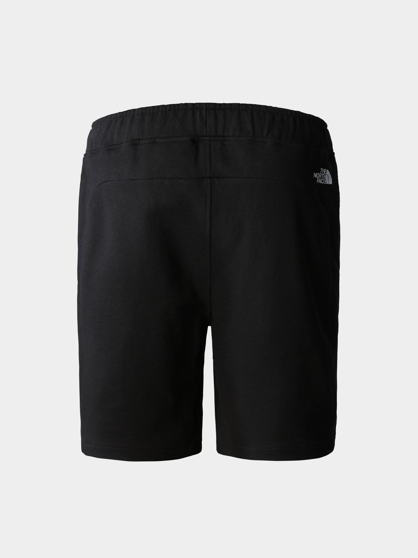 Шорты спортивные The North Face Summer Logo модель NF0A8237JK31 Фото