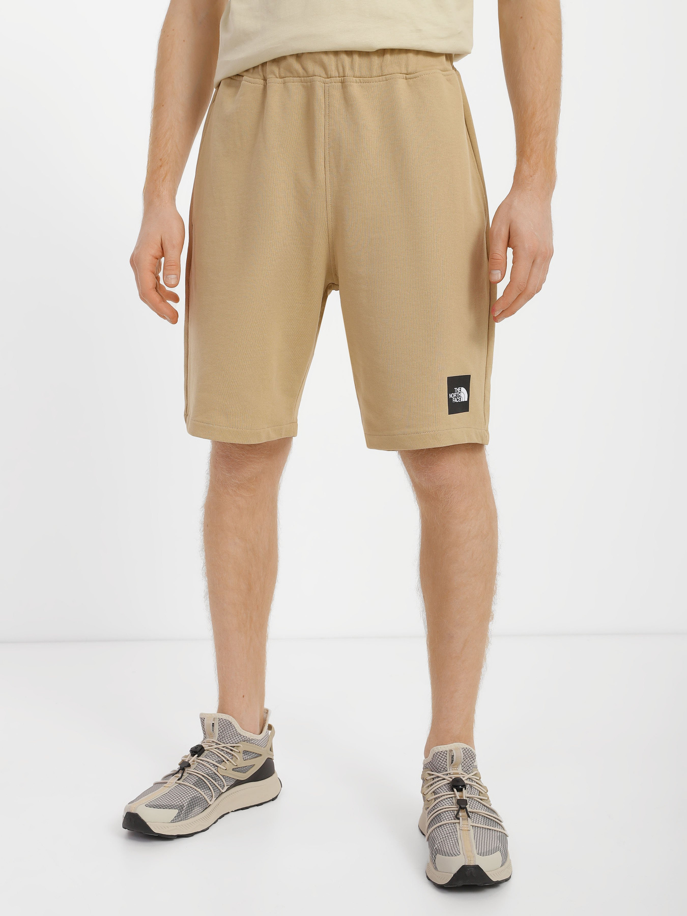 Шорты спортивные The North Face Summer Logo модель NF0A8237LK51 Фото