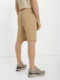 Шорты спортивные The North Face Summer Logo модель NF0A8237LK51 Фото