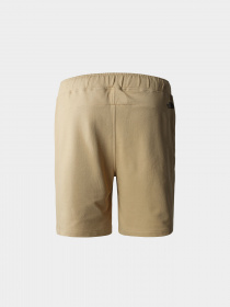 Шорты спортивные The North Face Summer Logo модель NF0A8237LK51 Фото