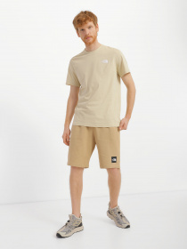 Шорты спортивные The North Face Summer Logo модель NF0A8237LK51 Фото