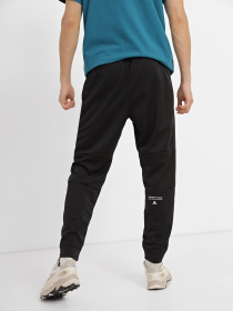 Штаны спортивные The North Face Mountain Athletics модель NF0A823UJK31 Фото