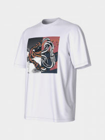 Футболка The North Face Graphic модель NF0A823YFN41 Фото