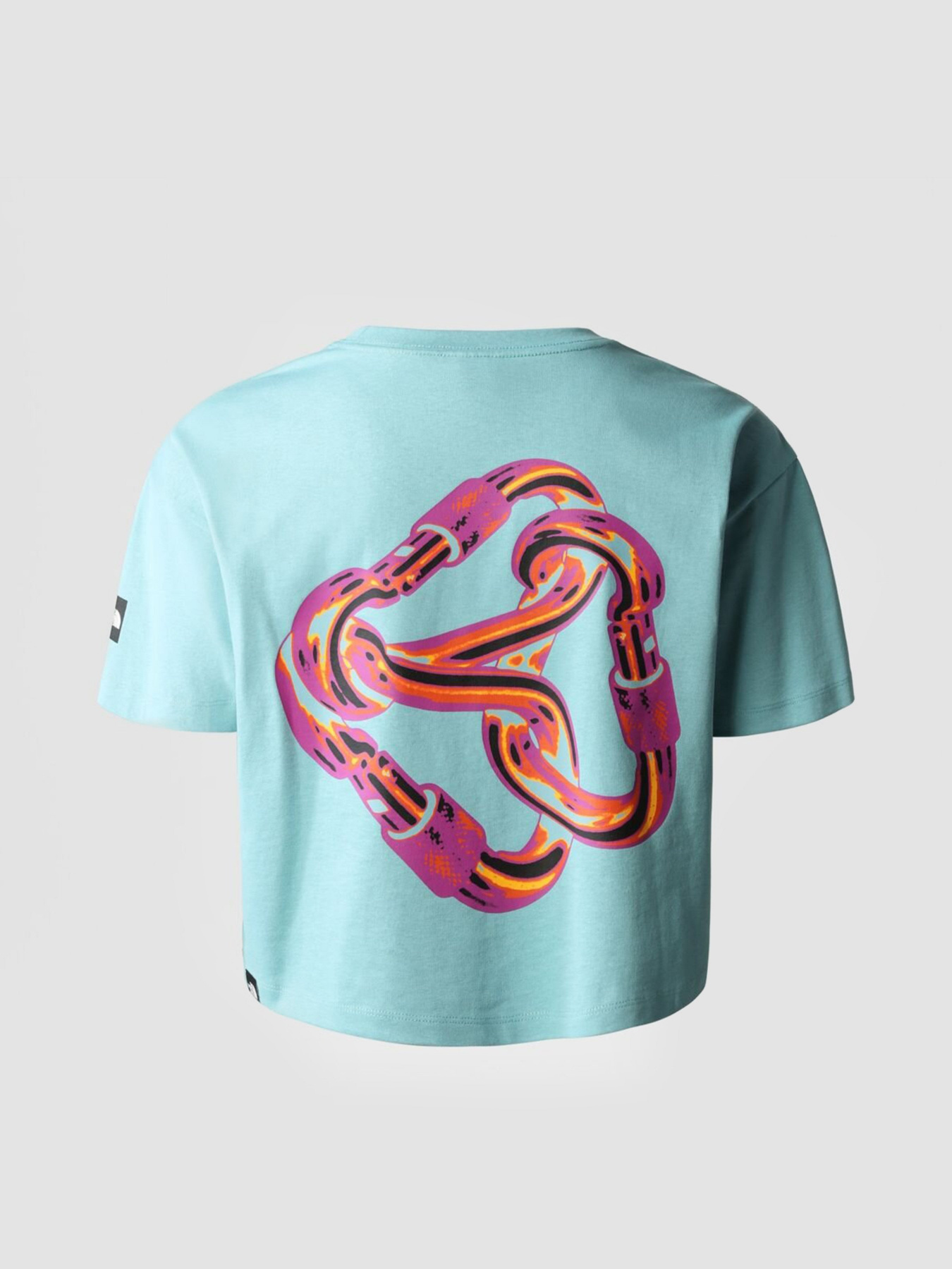 Футболка The North Face Graphic модель NF0A823ZLV21 Фото