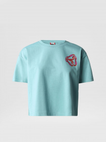 Футболка The North Face Graphic модель NF0A823ZLV21 Фото