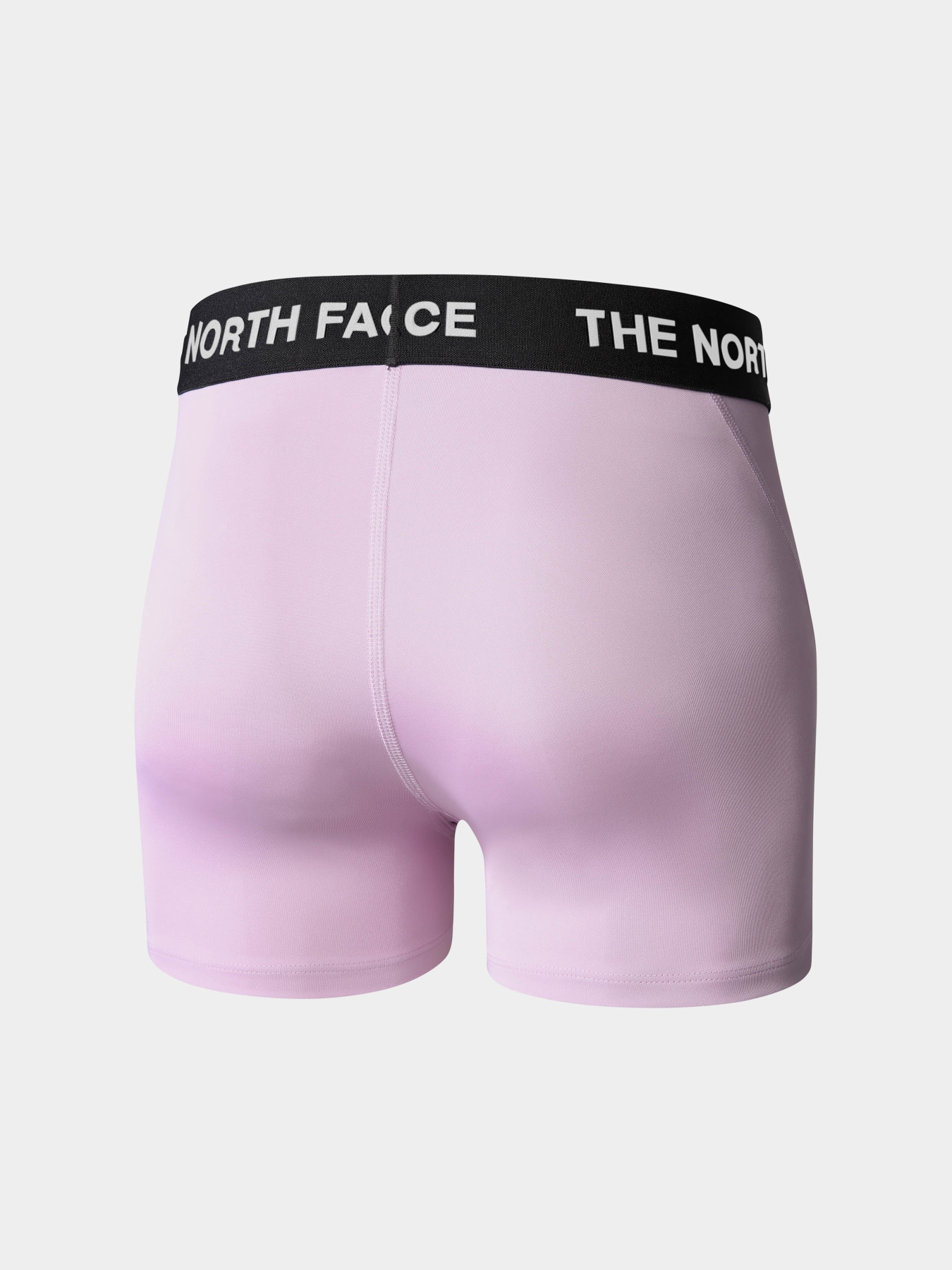 Шорты спортивные The North Face Training модель NF0A824NHCP1 Фото