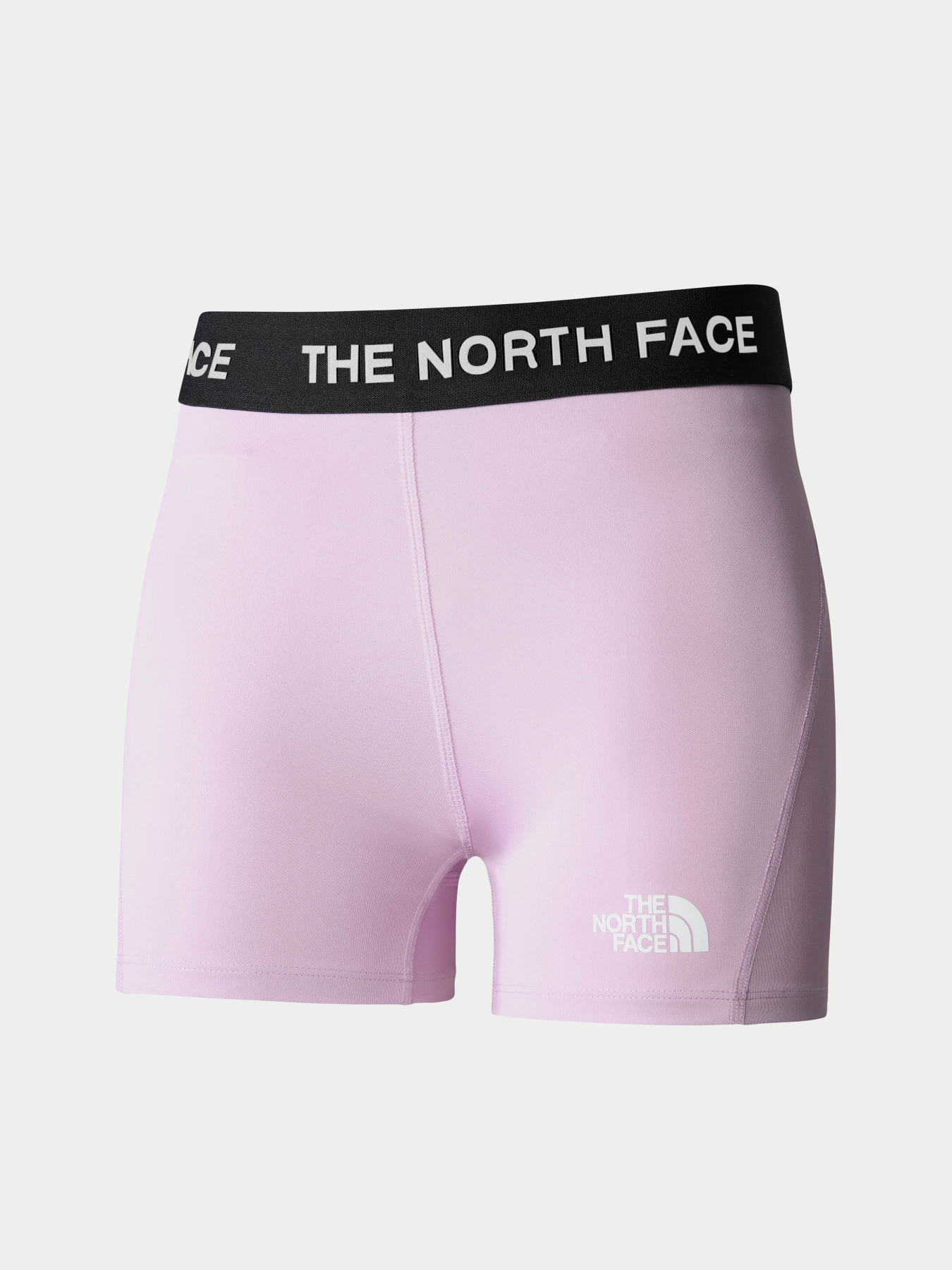 Спортивні шорти The North Face Training модель NF0A824NHCP1 Фото