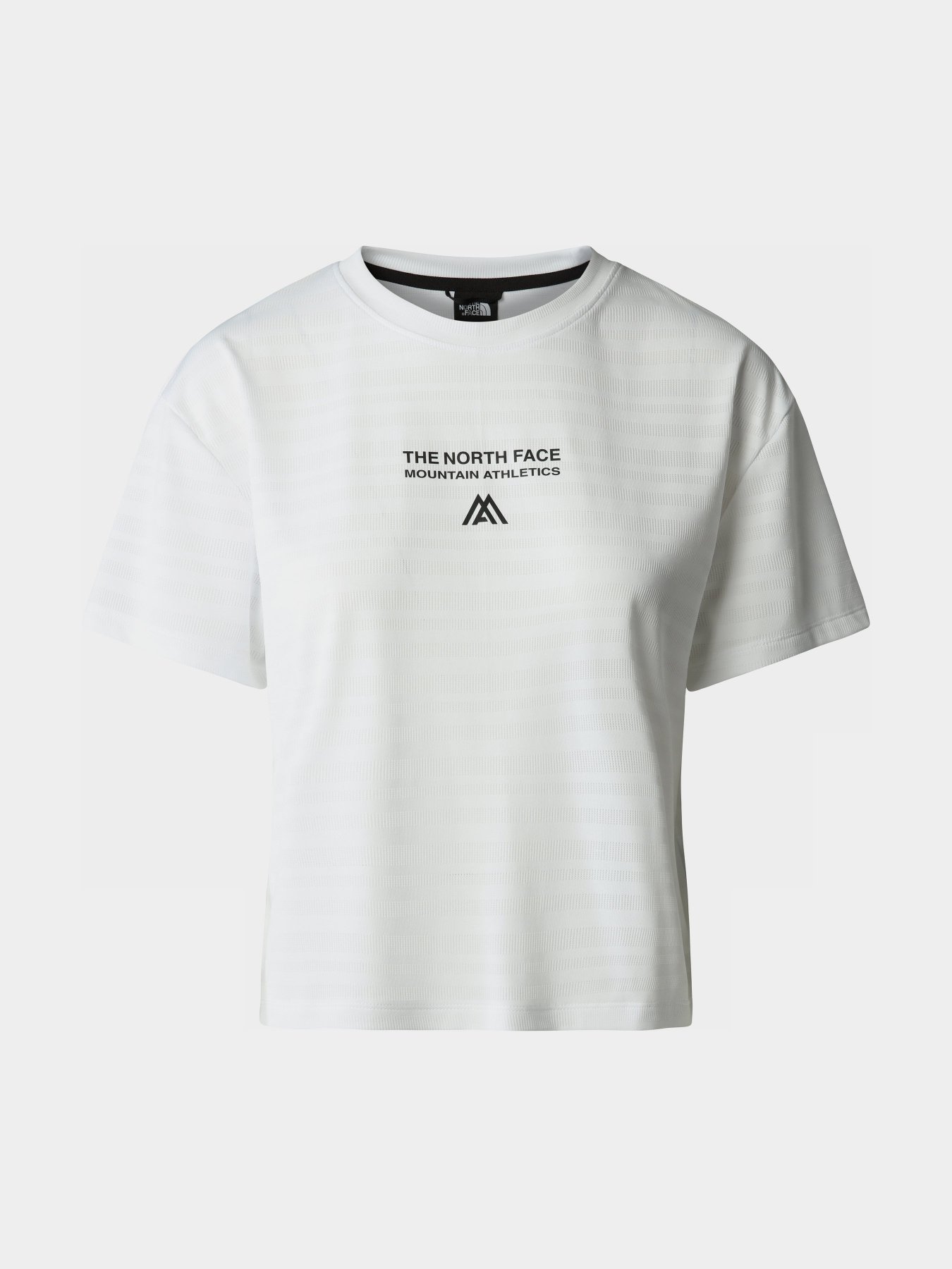 Футболка The North Face модель NF0A825AFN41 Фото