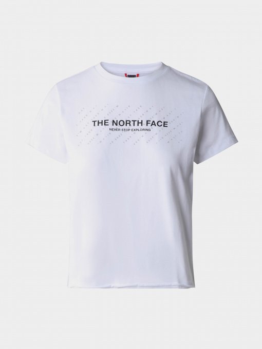 Футболка The North Face Coordinates модель NF0A826IFN41 Фото