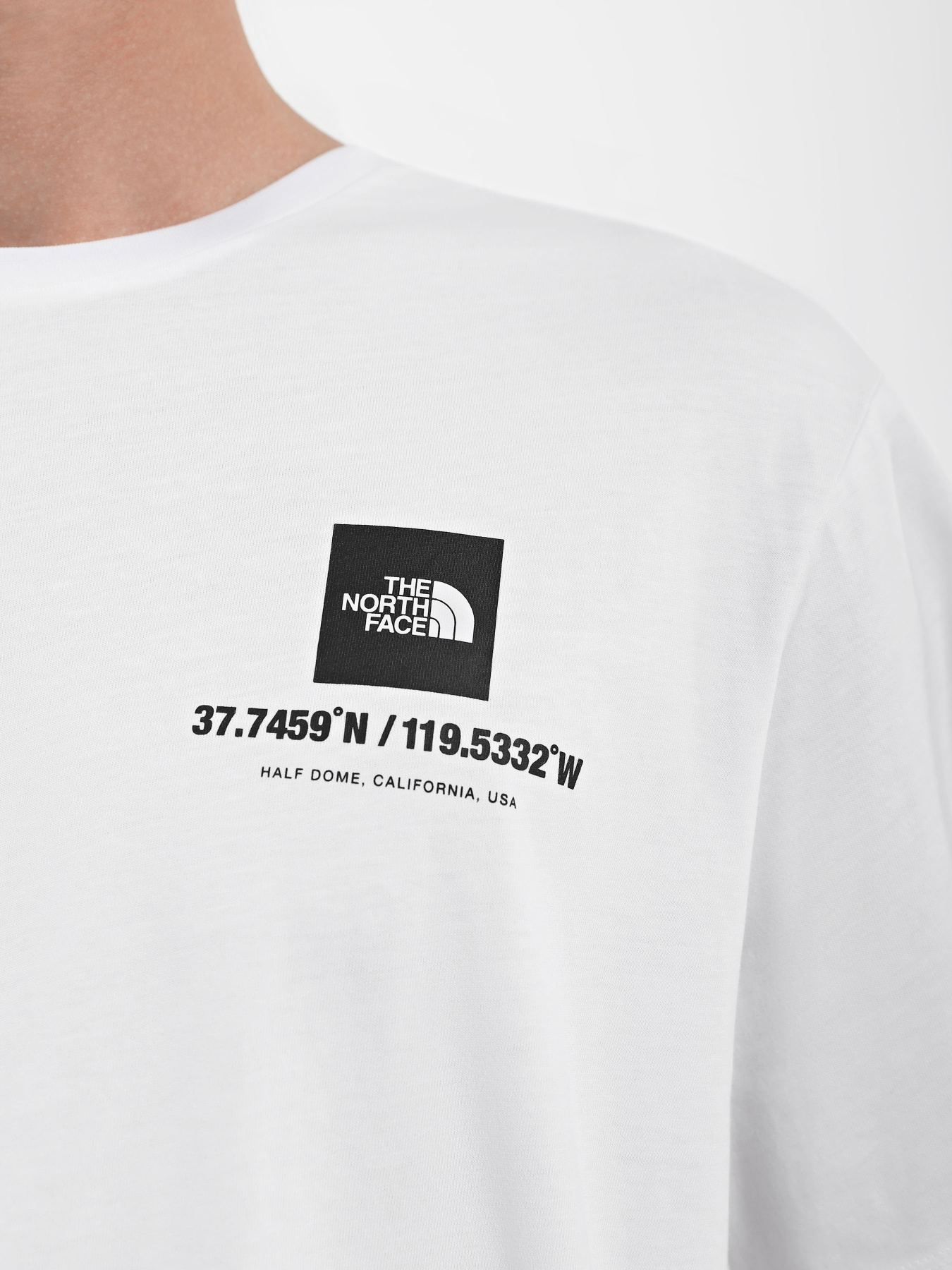 Футболка The North Face Coordinates модель NF0A826XFN41 Фото