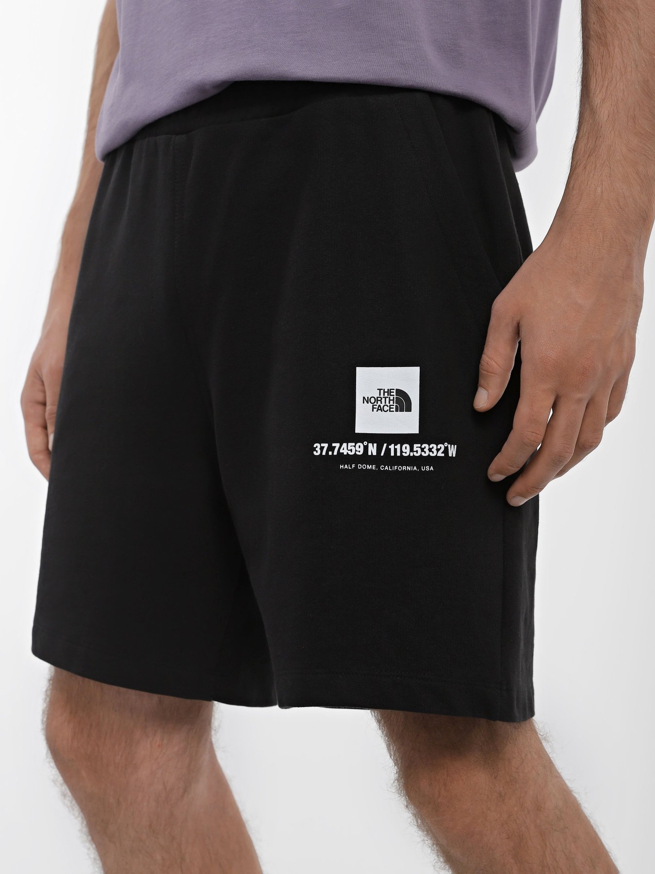 Шорты спортивные The North Face Coordinates модель NF0A826ZJK31 Фото