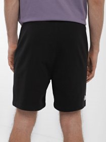 Спортивні шорти The North Face Coordinates модель NF0A826ZJK31 Фото