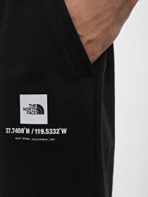 Спортивні шорти The North Face Coordinates модель NF0A826ZJK31 Фото