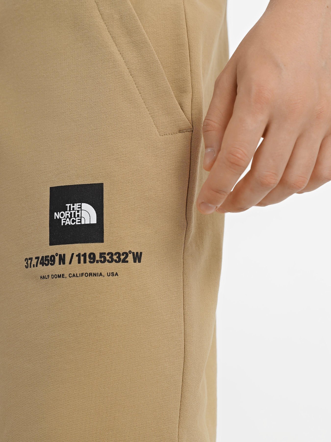 Шорты спортивные The North Face Coordinates модель NF0A826ZLK51 Фото