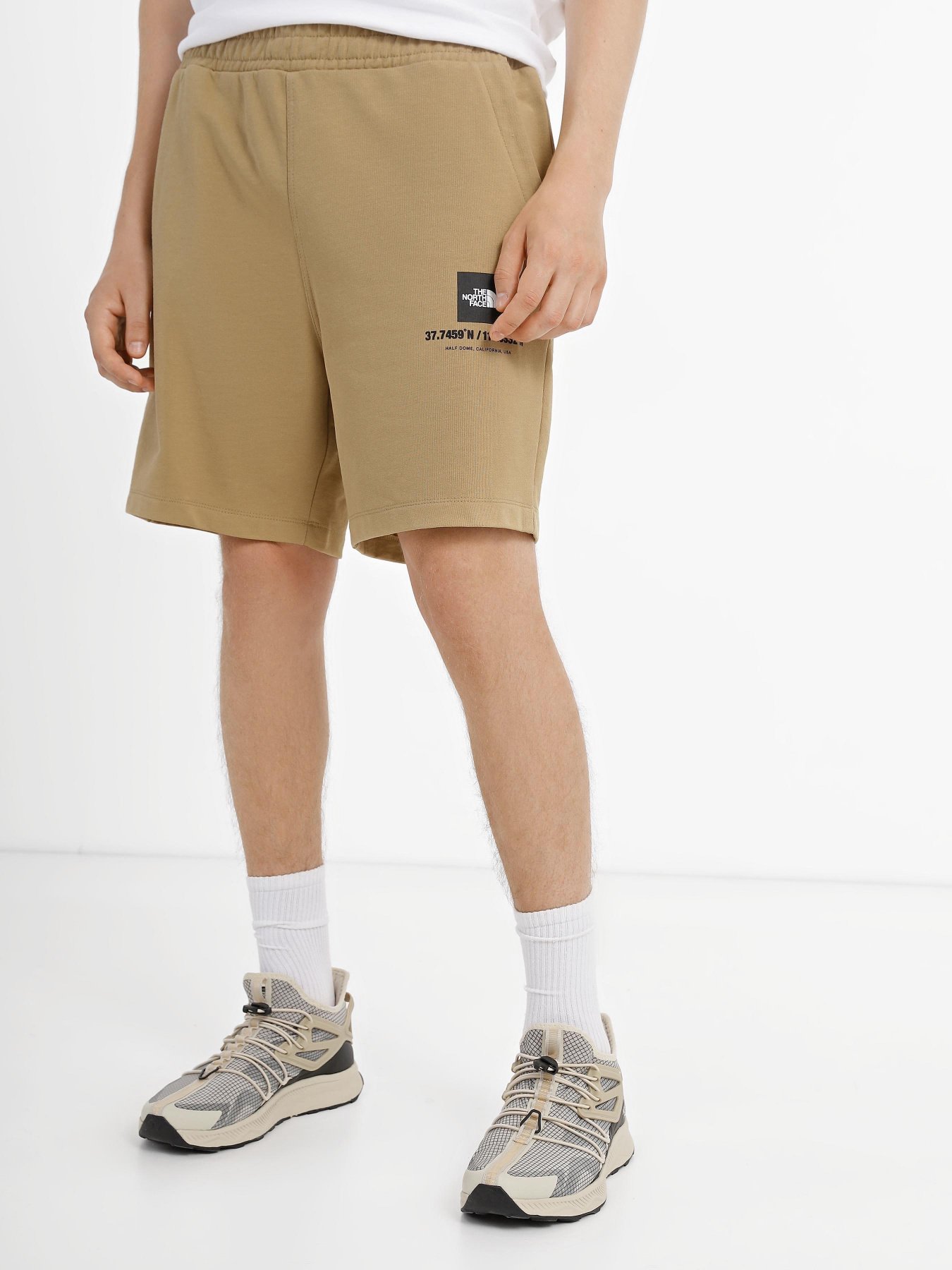 Шорты спортивные The North Face Coordinates модель NF0A826ZLK51 Фото