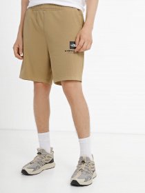 Шорты спортивные The North Face Coordinates модель NF0A826ZLK51 Фото