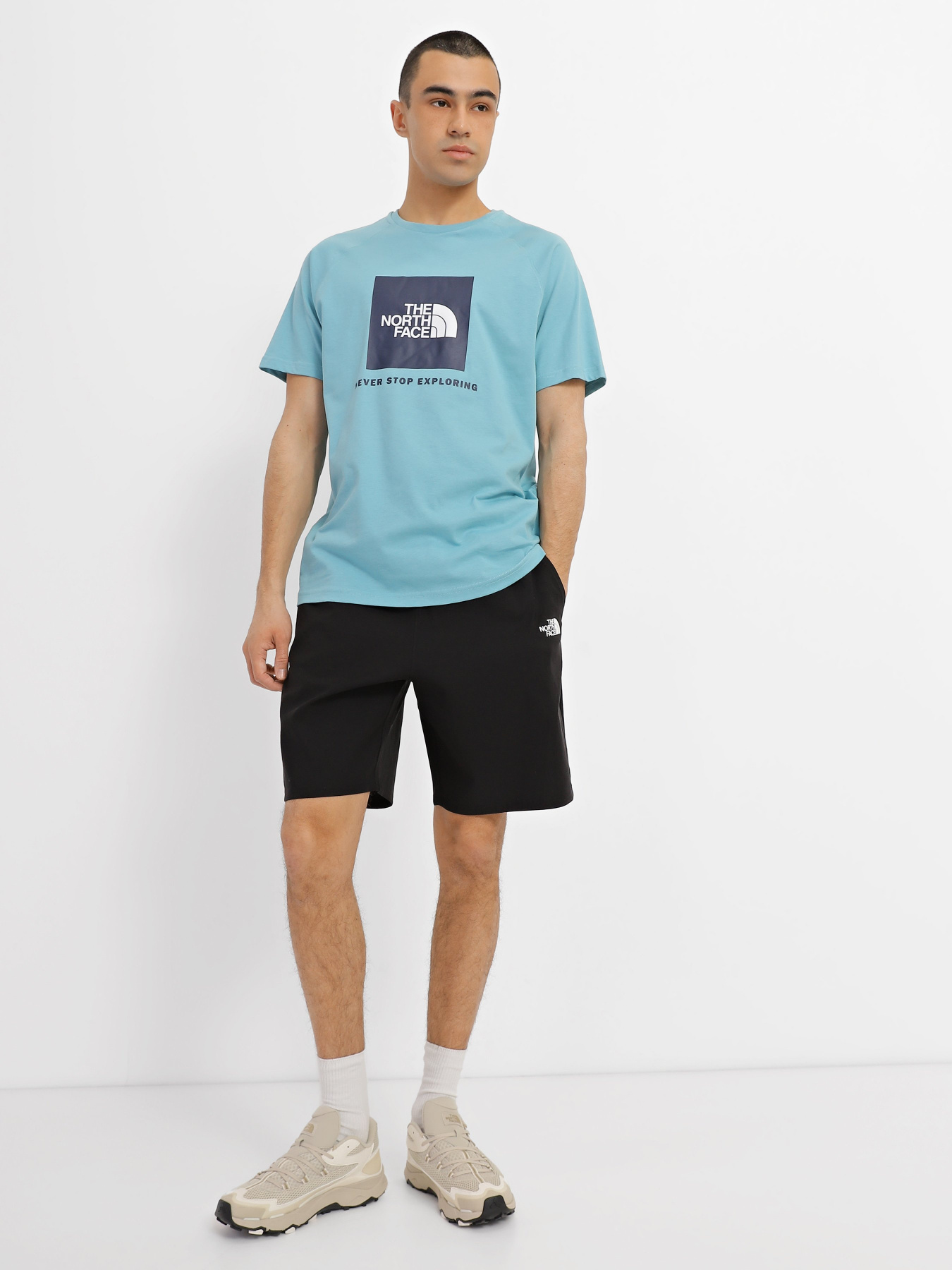 Шорты спортивные The North Face Travel модель NF0A8277JK31 Фото