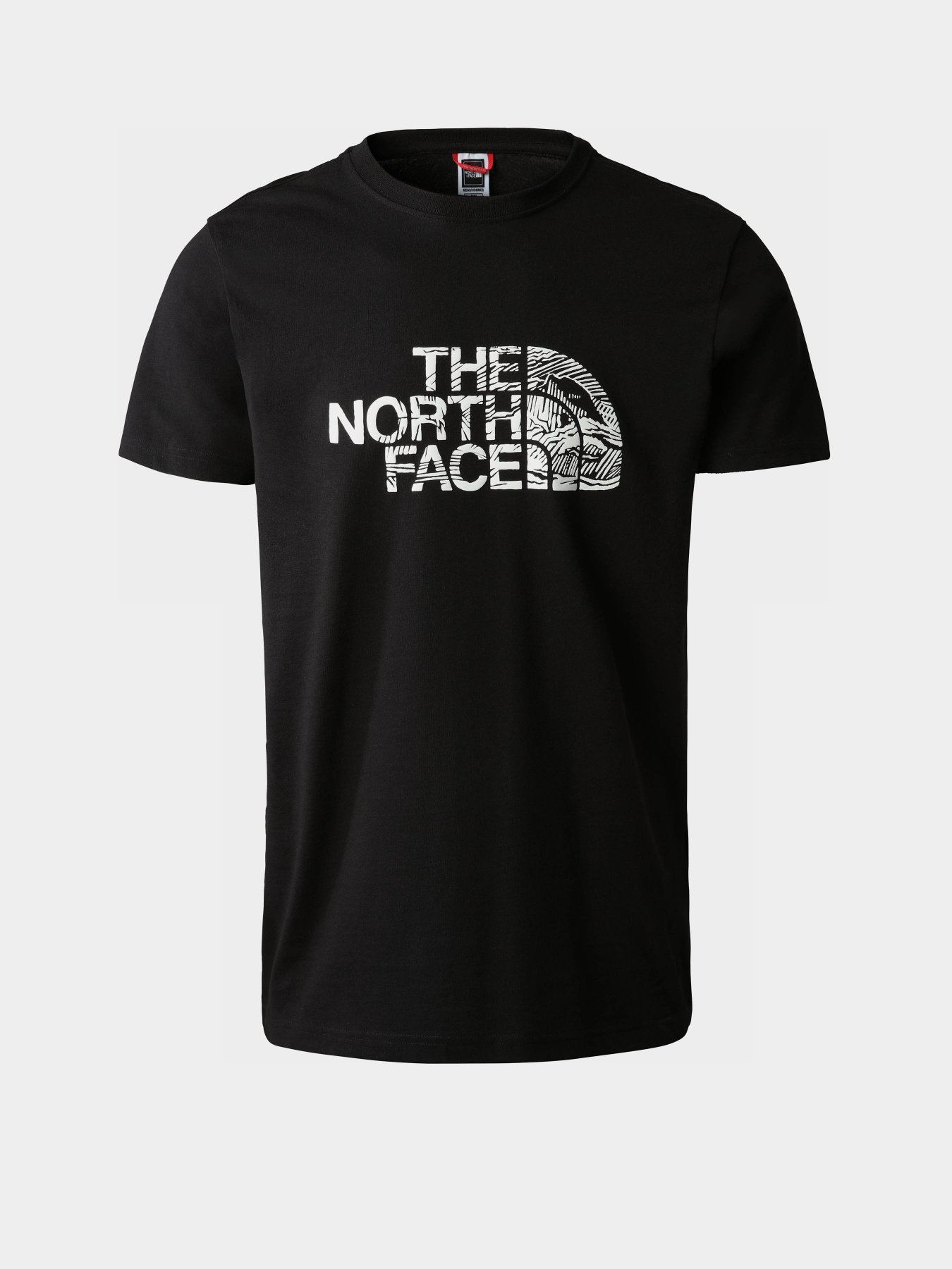 Футболка The North Face Woodcut Dome модель NF0A827HJK31 Фото