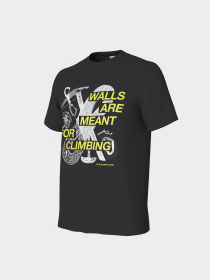 Футболка The North Face Outdoor Graphic модель NF0A827JJK31 Фото