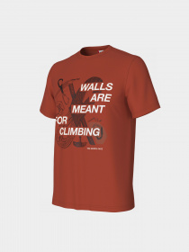 Футболка The North Face Outdoor Graphic модель NF0A827JLV41 Фото