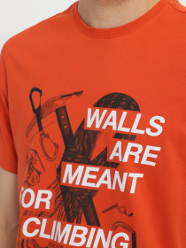 Футболка The North Face Outdoor Graphic модель NF0A827JLV41 Фото