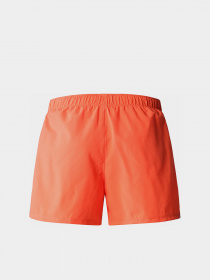 Шорты спортивные The North Face Elevation модель NF0A82OMLV31 Фото