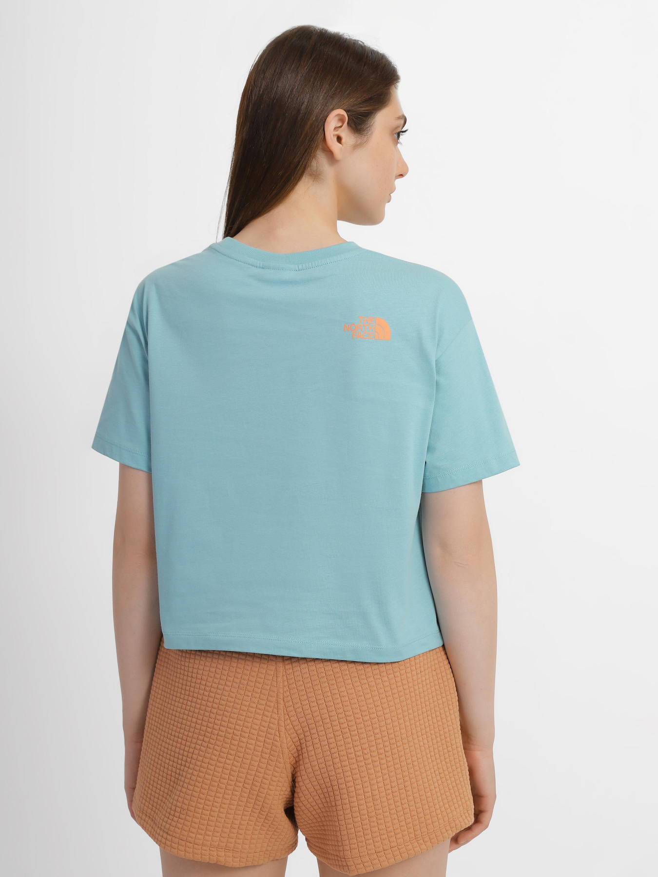 Футболка The North Face D2 Graphic модель NF0A83FALV21 Фото