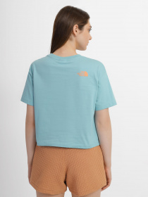 Футболка The North Face D2 Graphic модель NF0A83FALV21 Фото