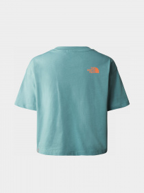 Футболка The North Face D2 Graphic модель NF0A83FALV21 Фото