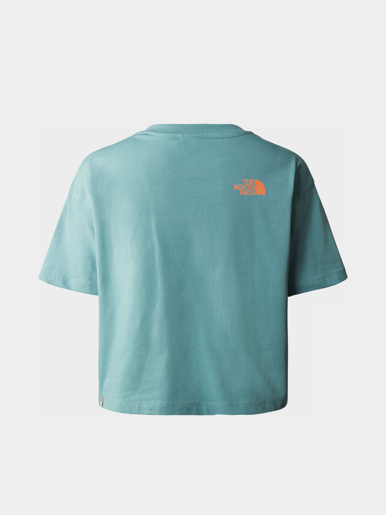 Футболка The North Face D2 Graphic модель NF0A83FALV21 Фото