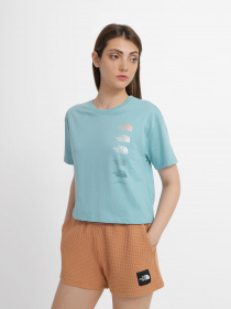 Футболка The North Face D2 Graphic модель NF0A83FALV21 Фото