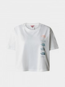 Футболка The North Face D2 Graphic модель NF0A83FAN3N1 Фото