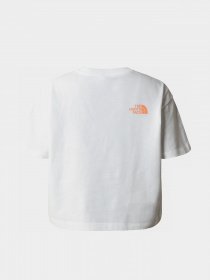 Футболка The North Face D2 Graphic модель NF0A83FAN3N1 Фото