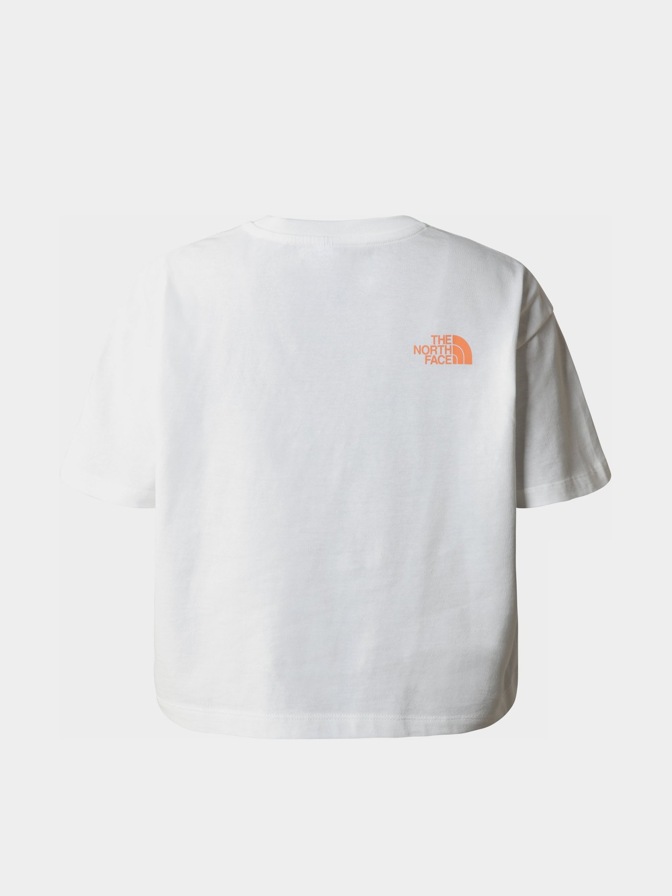 Футболка The North Face D2 Graphic модель NF0A83FAN3N1 Фото