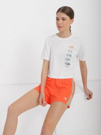 Футболка The North Face D2 Graphic модель NF0A83FAN3N1 Фото