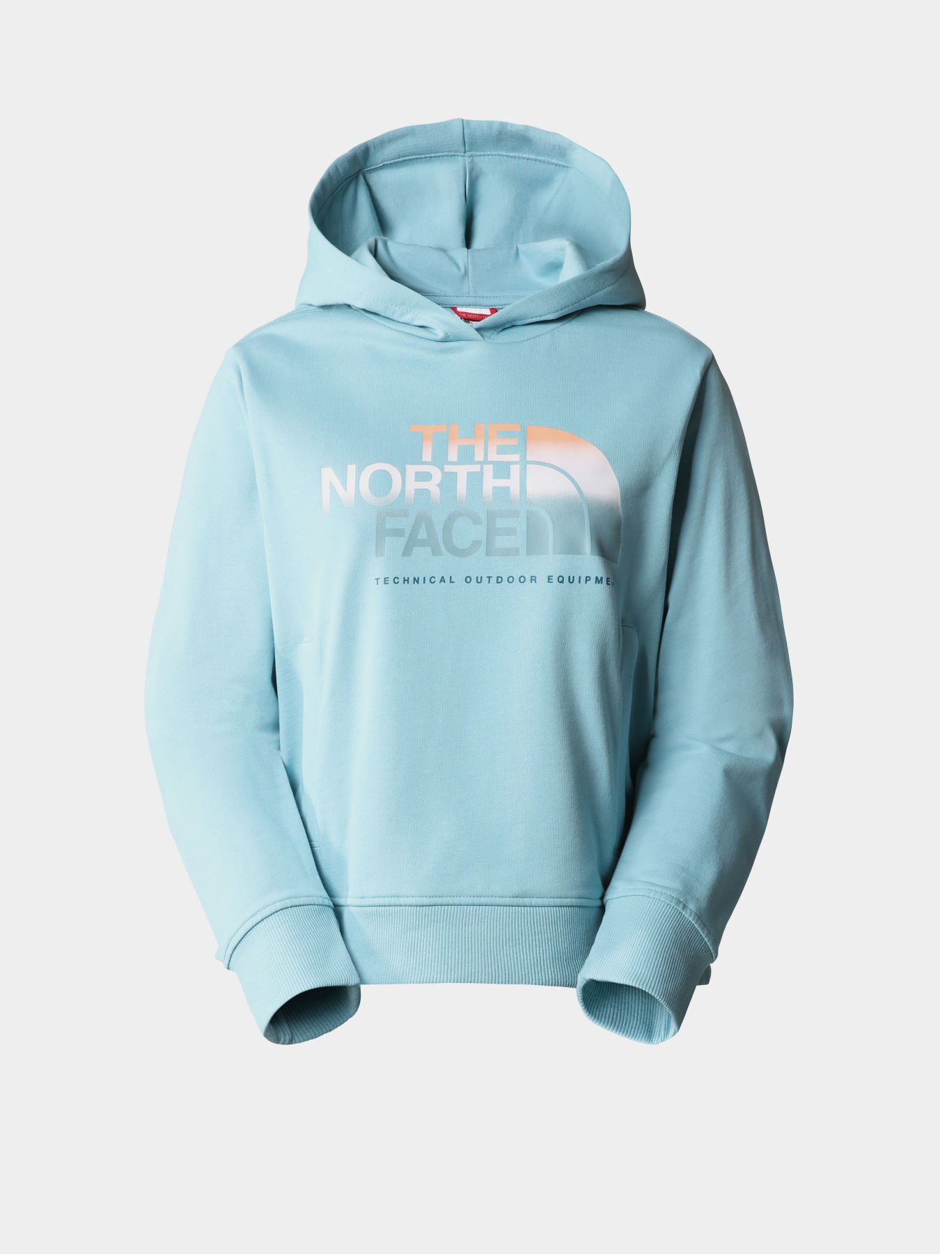 Худи The North Face D2 Graphic модель NF0A83FGLV21 Фото