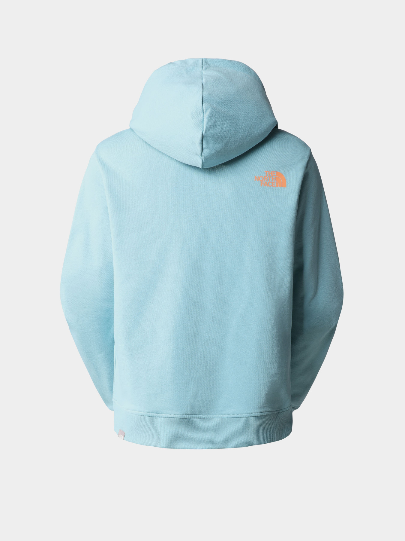 Худи The North Face D2 Graphic модель NF0A83FGLV21 Фото