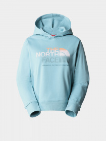 Худи The North Face D2 Graphic модель NF0A83FGLV21 Фото