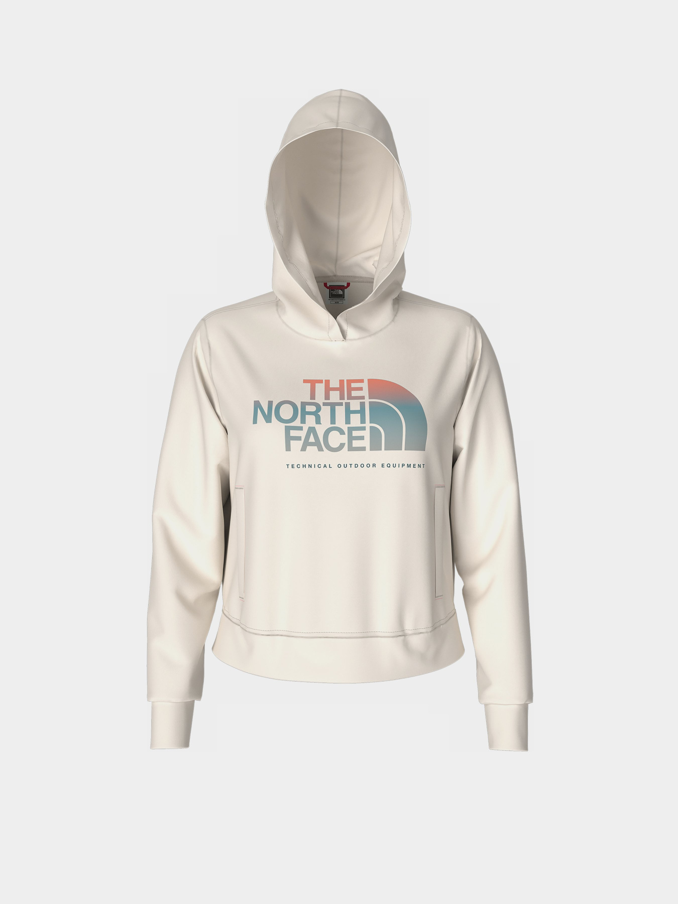 Худі The North Face D2 Graphic модель NF0A83FGN3N1 Фото