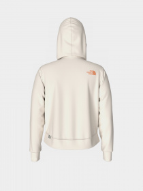 Худі The North Face D2 Graphic модель NF0A83FGN3N1 Фото