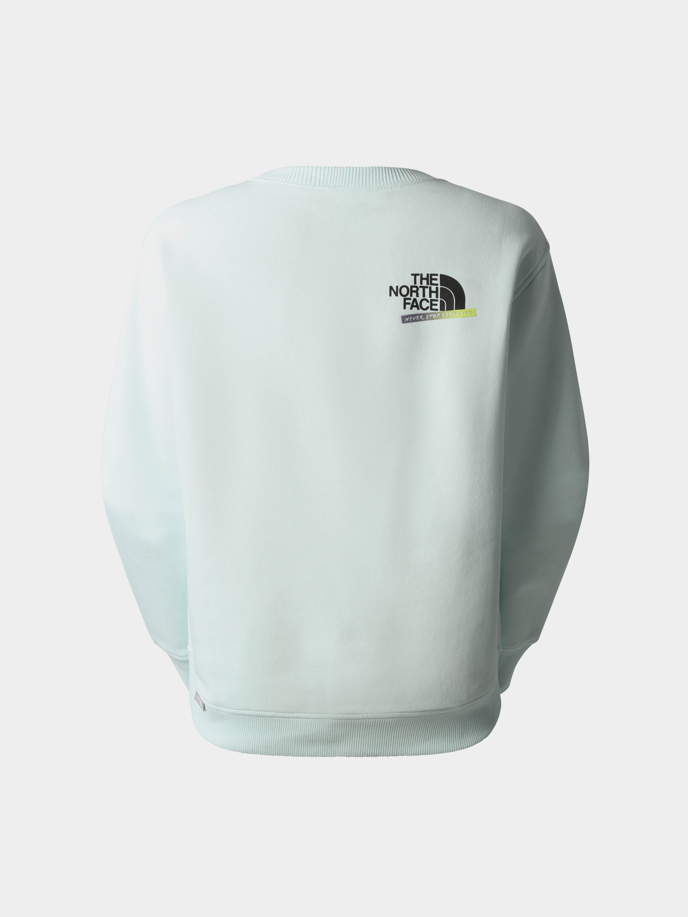 Свитшот The North Face Graphic модель NF0A83FILV51 Фото